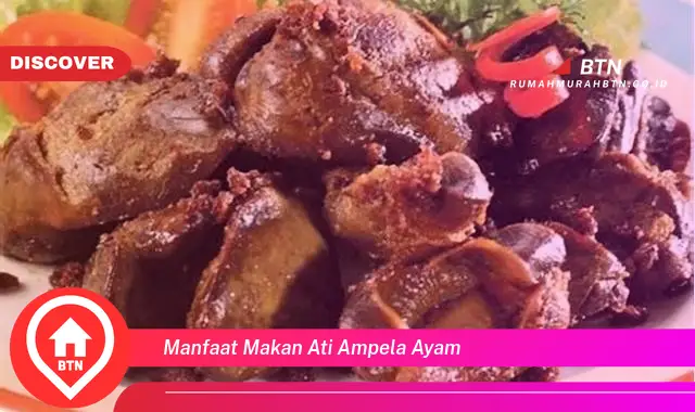 manfaat makan ati ampela ayam