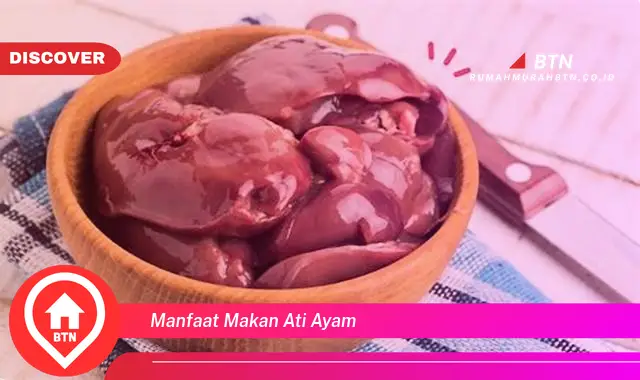 manfaat makan ati ayam