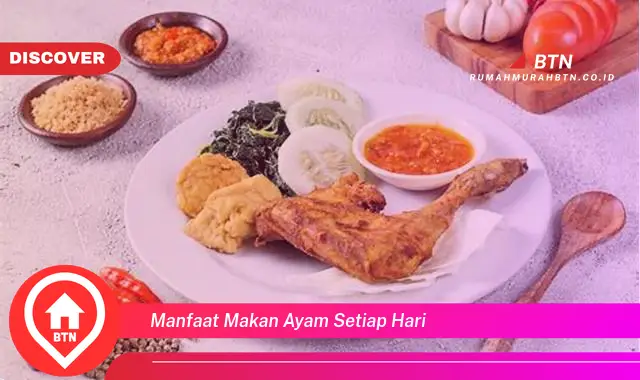 manfaat makan ayam setiap hari