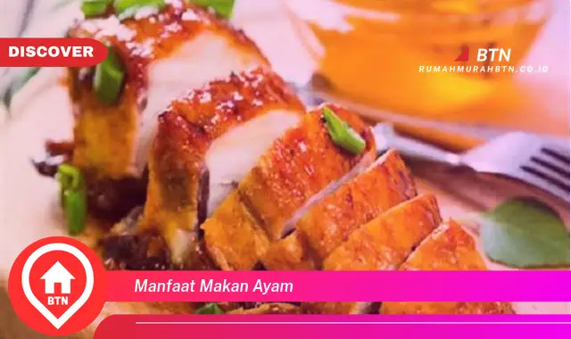 manfaat makan ayam