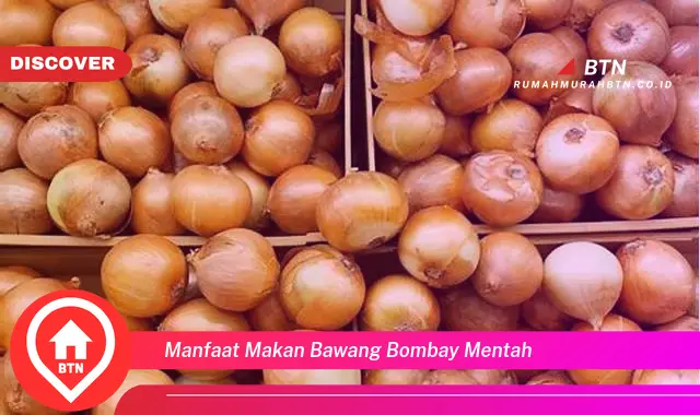 manfaat makan bawang bombay mentah