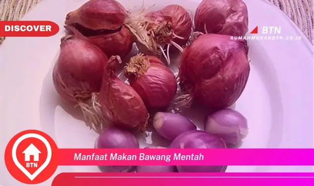 manfaat makan bawang mentah