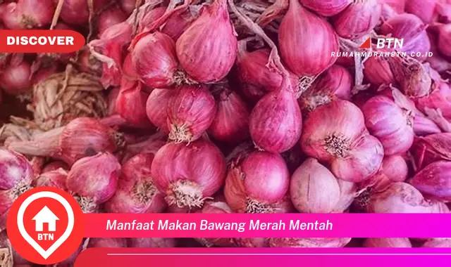 manfaat makan bawang merah mentah