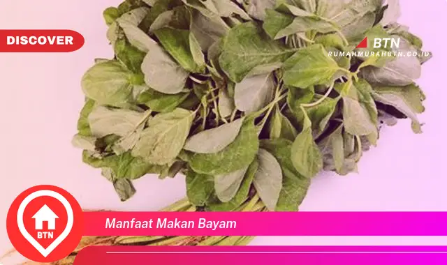 manfaat makan bayam