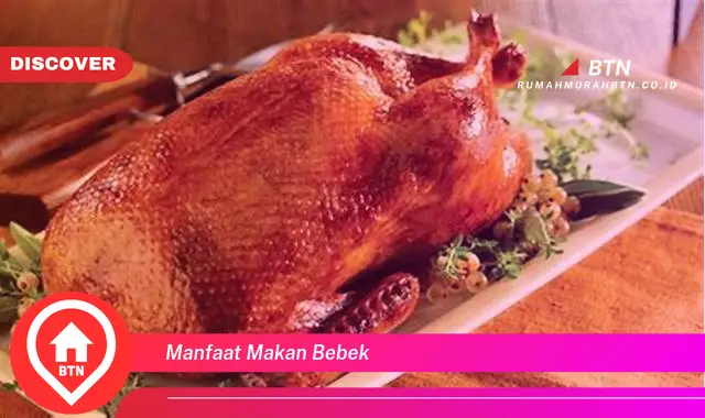 manfaat makan bebek