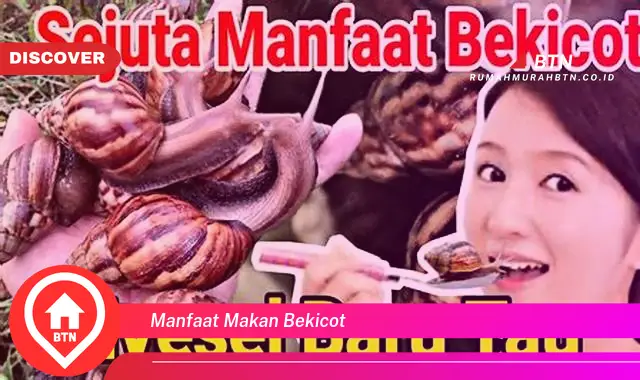 manfaat makan bekicot