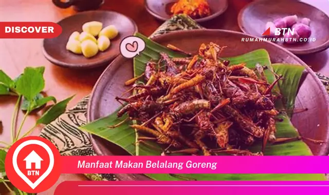 manfaat makan belalang goreng