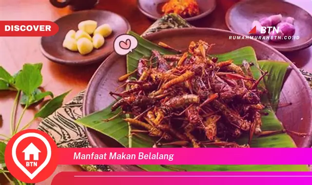 manfaat makan belalang