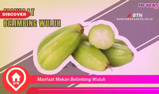 manfaat makan belimbing wuluh