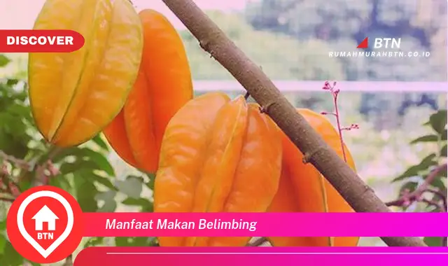 manfaat makan belimbing