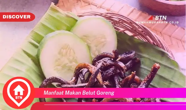 manfaat makan belut goreng