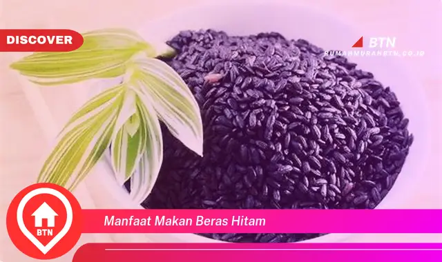 manfaat makan beras hitam