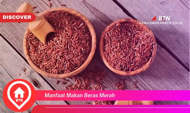 manfaat makan beras merah