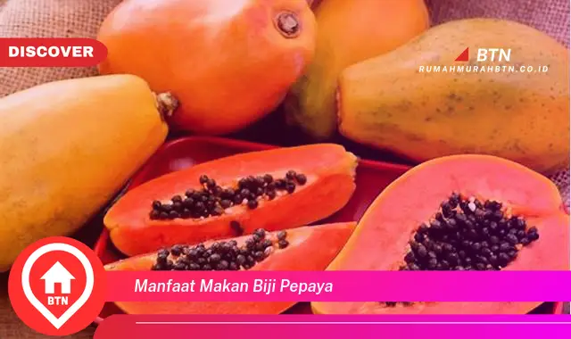 manfaat makan biji pepaya