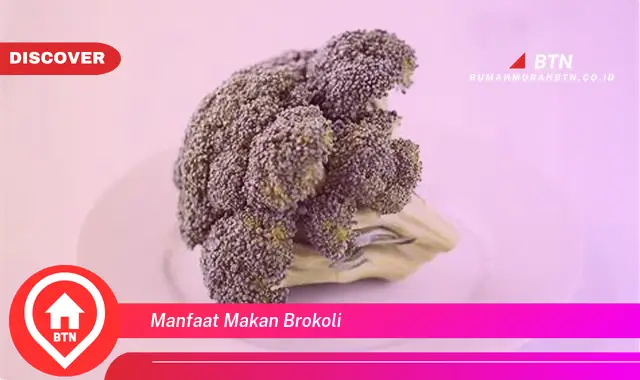 manfaat makan brokoli