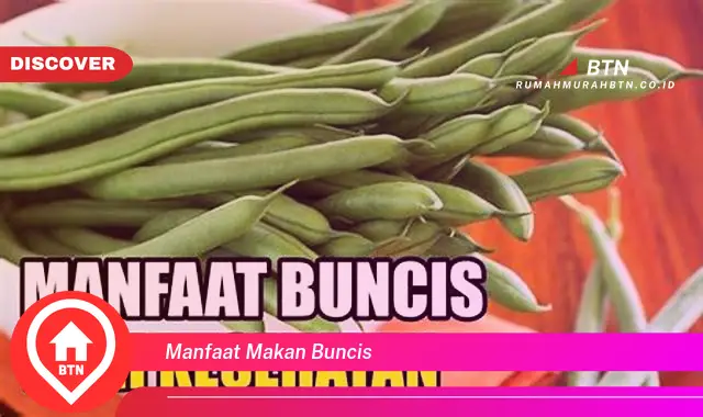 manfaat makan buncis