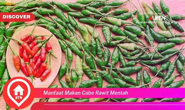 manfaat makan cabe rawit mentah