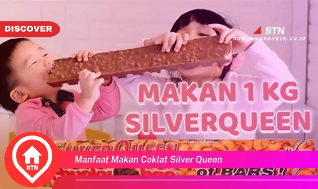 manfaat makan coklat silver queen