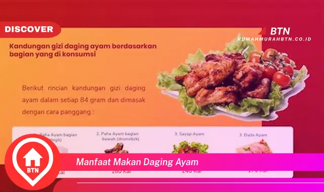 manfaat makan daging ayam