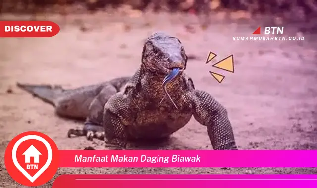 manfaat makan daging biawak