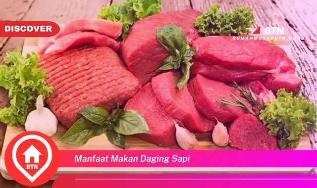 manfaat makan daging sapi