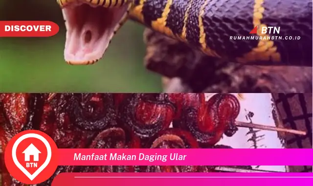 manfaat makan daging ular