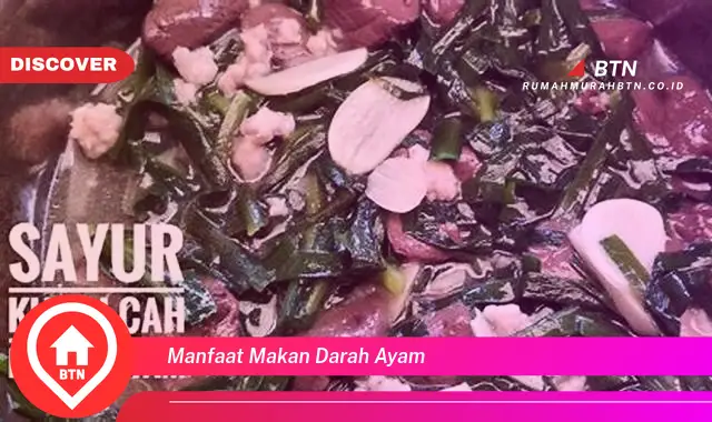 manfaat makan darah ayam