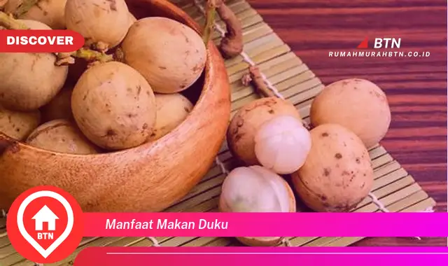 manfaat makan duku