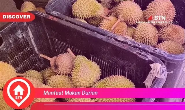 manfaat makan durian