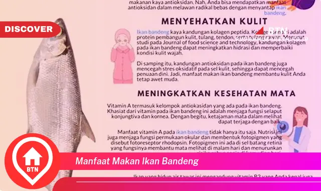 manfaat makan ikan bandeng