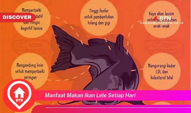 manfaat makan ikan lele setiap hari