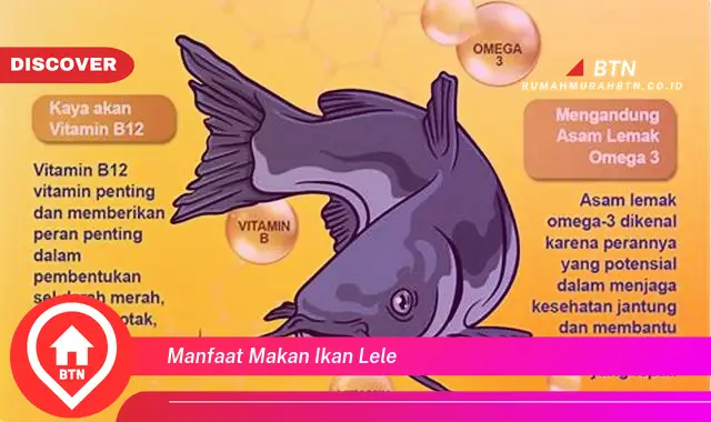 manfaat makan ikan lele