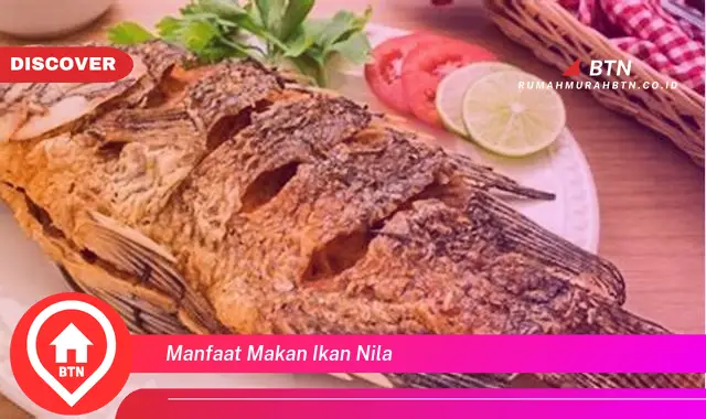 manfaat makan ikan nila