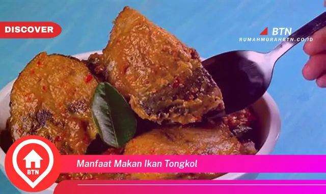 manfaat makan ikan tongkol