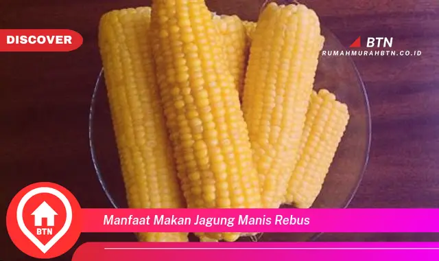 manfaat makan jagung manis rebus