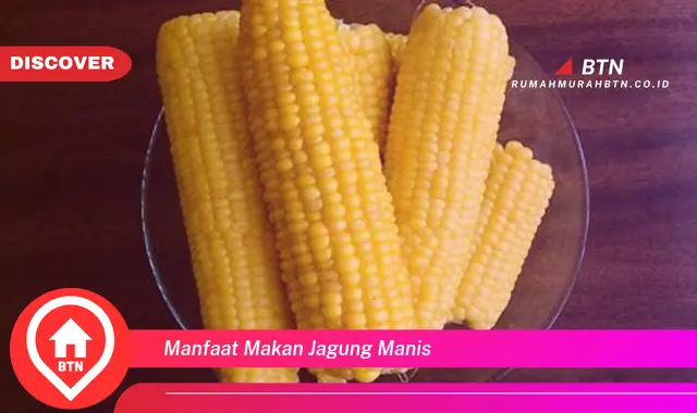 manfaat makan jagung manis