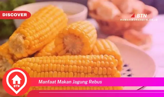 manfaat makan jagung rebus