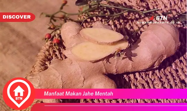 manfaat makan jahe mentah