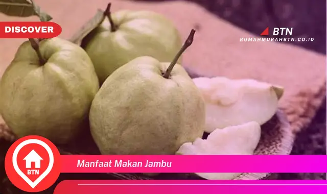 manfaat makan jambu