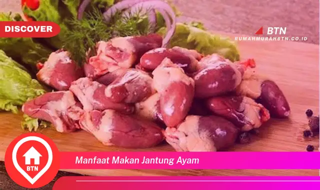 manfaat makan jantung ayam