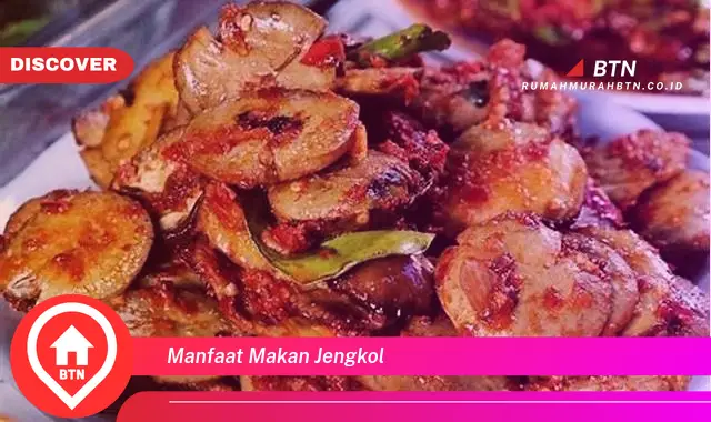 manfaat makan jengkol