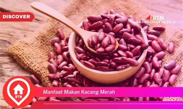 manfaat makan kacang merah