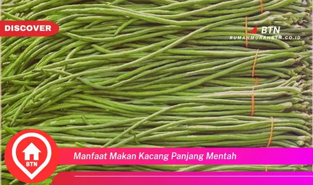 manfaat makan kacang panjang mentah