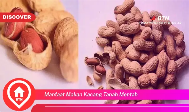 manfaat makan kacang tanah mentah