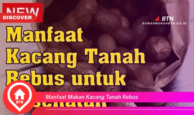 manfaat makan kacang tanah rebus