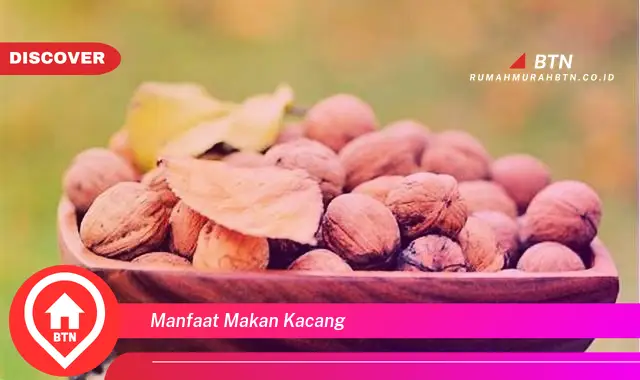 manfaat makan kacang