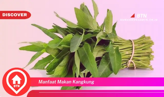 manfaat makan kangkung