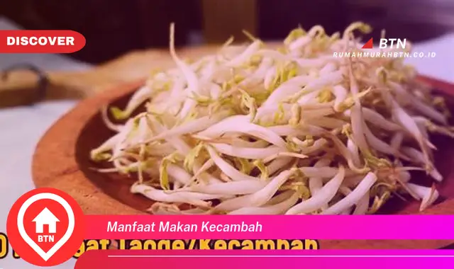 manfaat makan kecambah