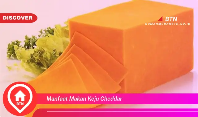 manfaat makan keju cheddar