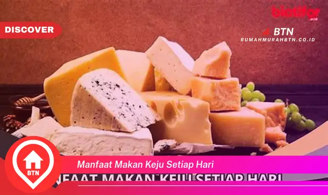 manfaat makan keju setiap hari